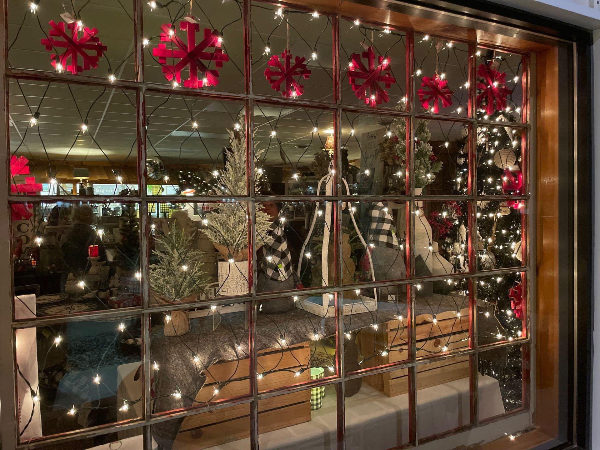 481170083 1055373006397211 8523470830988990162 n